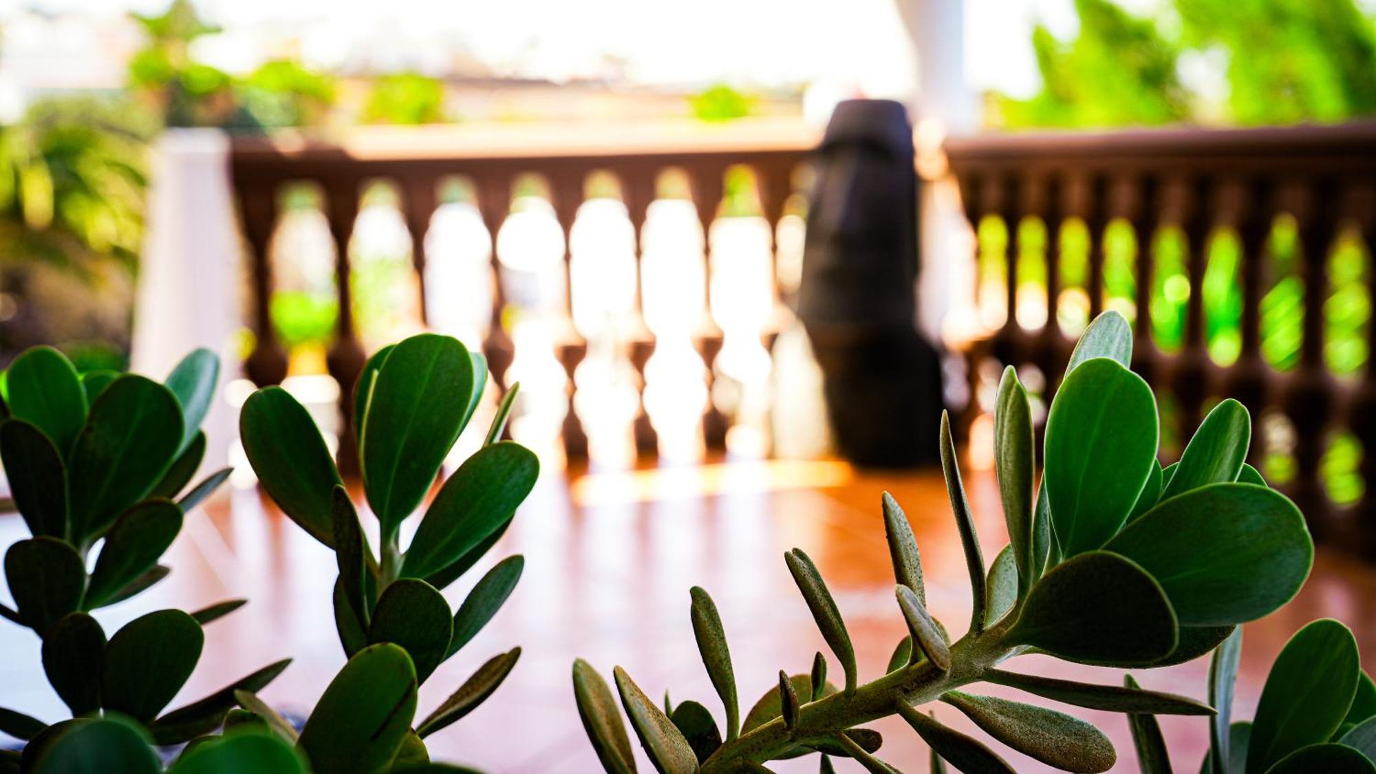 Villa Azul Fuerteventura Villaverde  Buitenkant foto