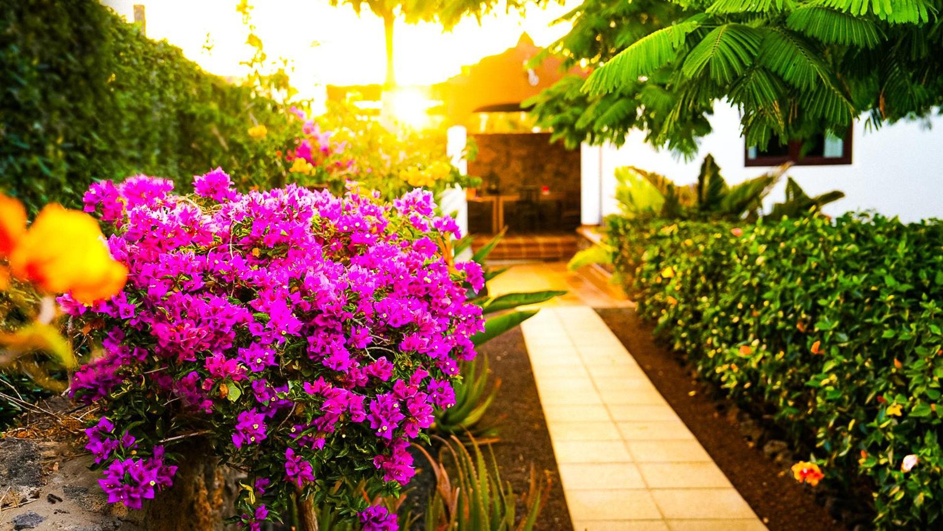 Villa Azul Fuerteventura Villaverde  Buitenkant foto