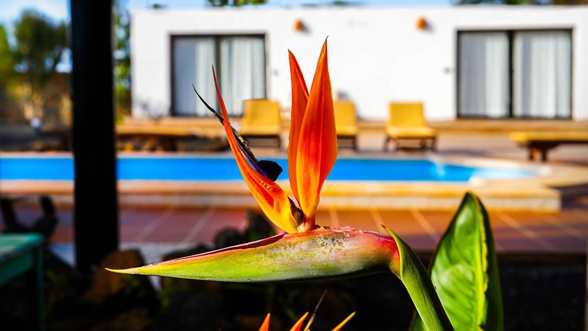 Villa Azul Fuerteventura Villaverde  Buitenkant foto